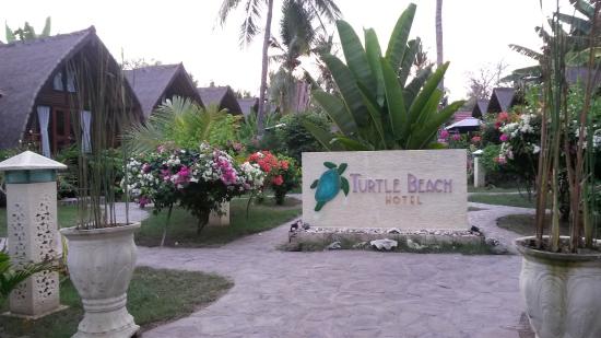 turtle-beach-hotel
