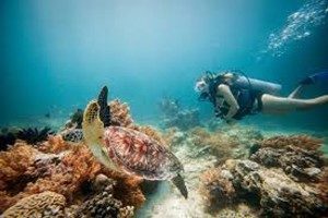 Trawangan underwater